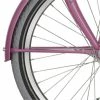 Alpina Onderdelen Alpina Spatbordstangset 18" Cargo - Mat Fuchsia Roze