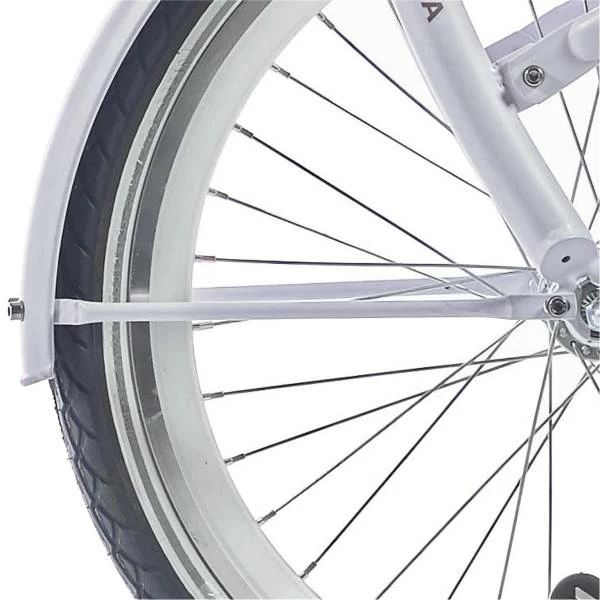 Alpina Onderdelen Alpina Spatbordstangset 22" Clubb - Mat Frosty Roze