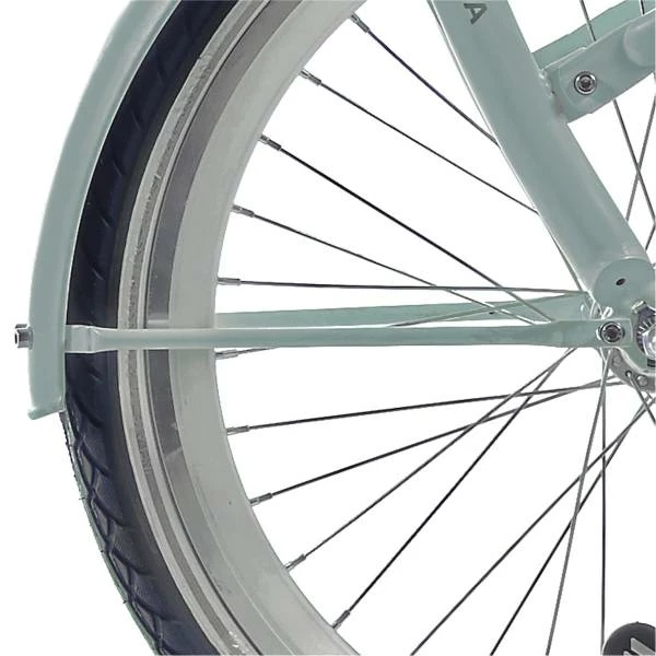 Alpina Onderdelen Alpina Spatbordstangset 22" Clubb - Mat Soft Mint