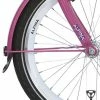 Alpina Onderdelen Alpina Spatbordstangset 22" Girlpower - Candy Roze
