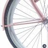 Alpina Onderdelen Alpina Spatbordstangset 26" Clubb/Cargo - Mat Desert Roze