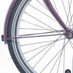 Alpina Onderdelen Alpina Spatbordstangset 26" Mood - Mat Donker Mauve